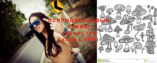таблы Алексеевка