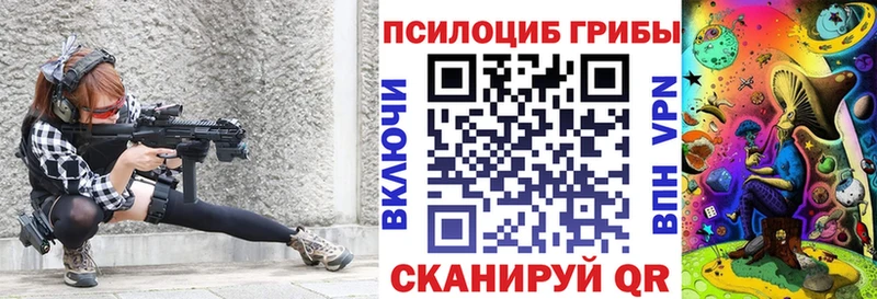 Галлюциногенные грибы Psilocybe  Алзамай 